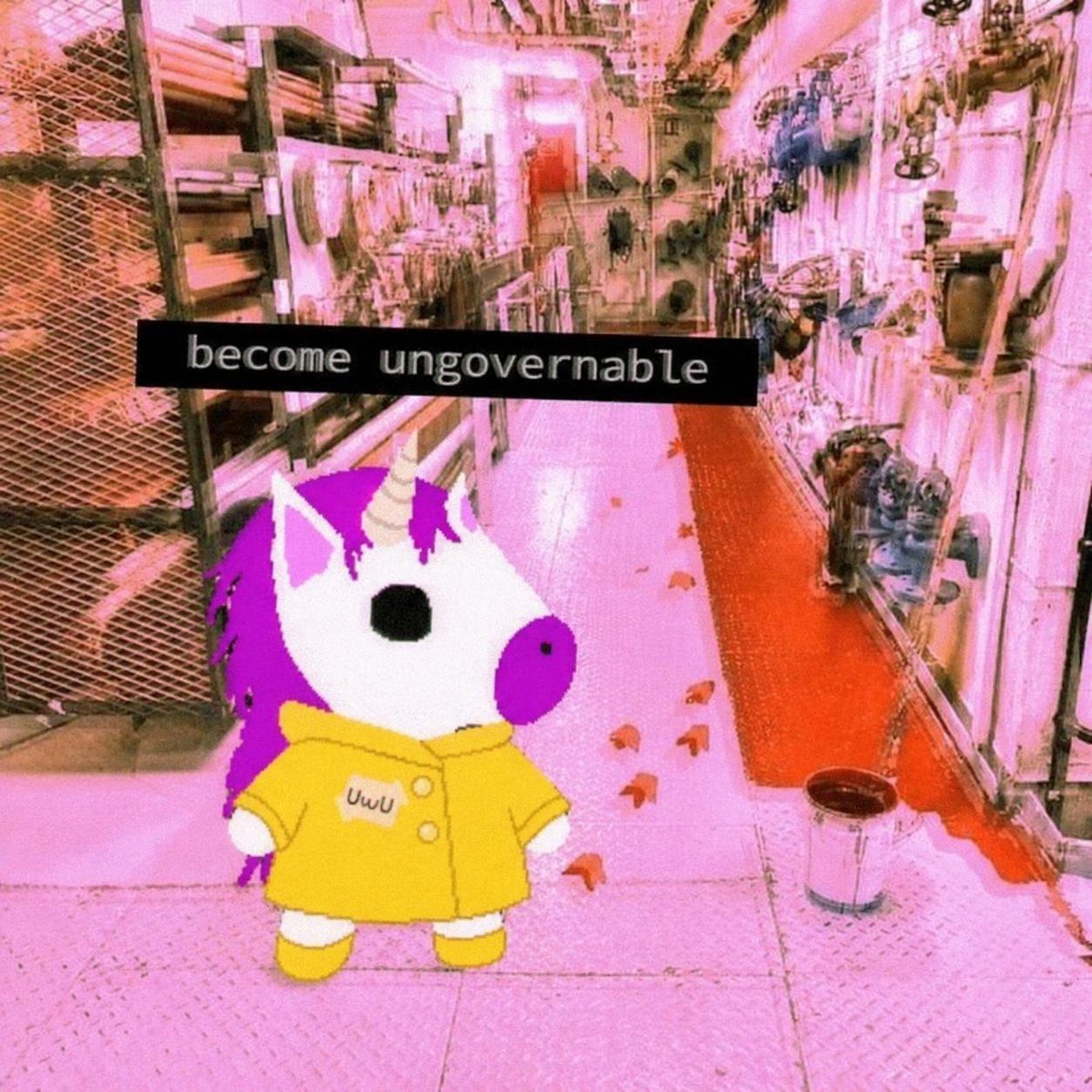 Unicorn 🦄 tweet media
