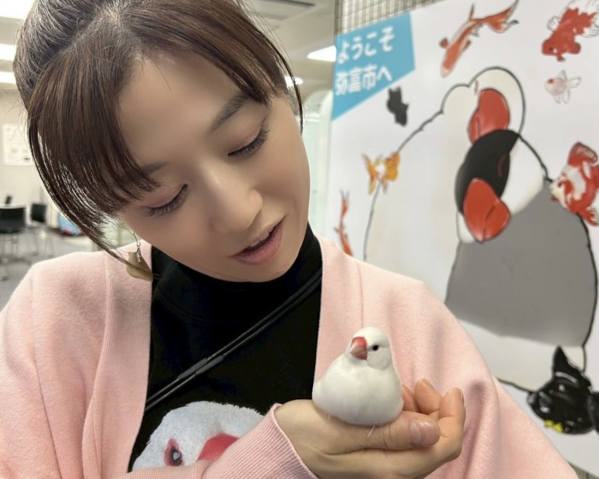 月亭八織 🌙落語と文鳥との暮らし🐥 tweet media