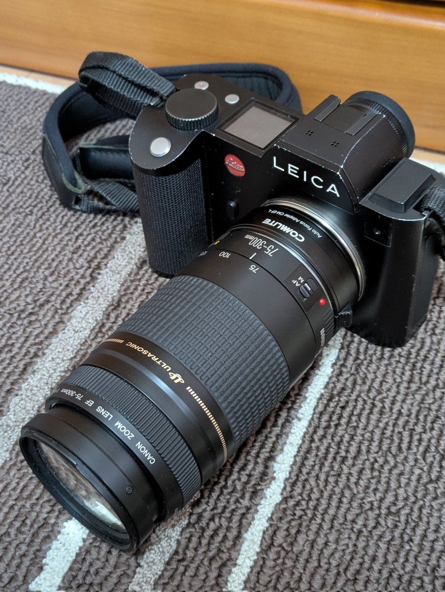 数千円で買える30年前のEFズームレンズで写したその辺の草