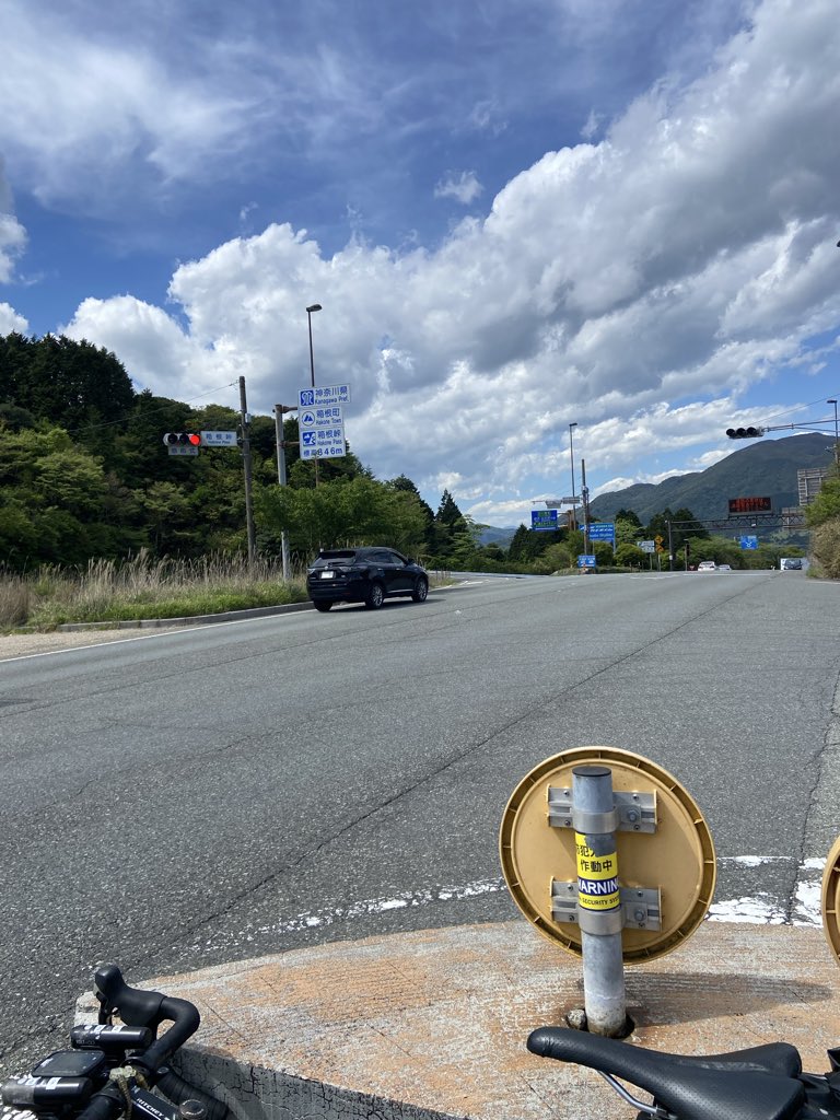 酔猫庵 tweet media