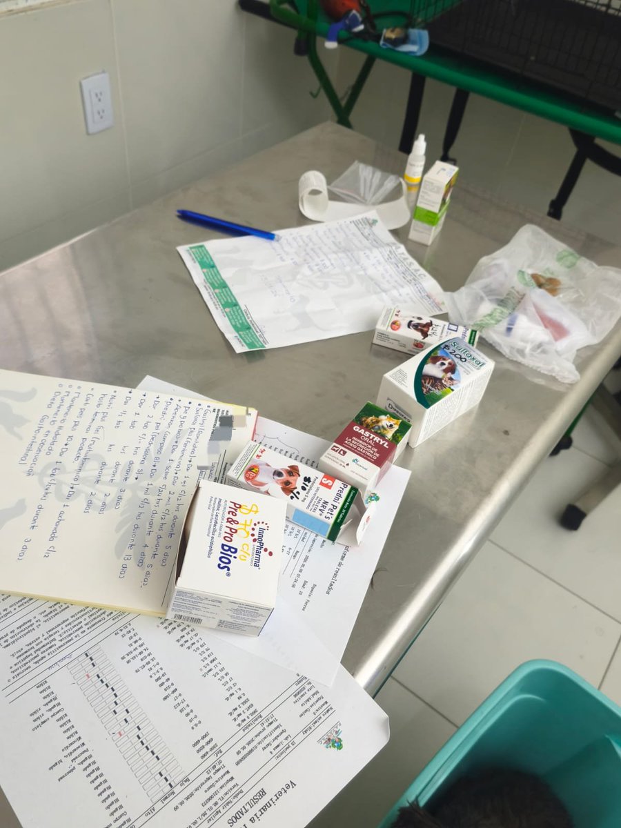 Sychzz (Comms Open) tweet media