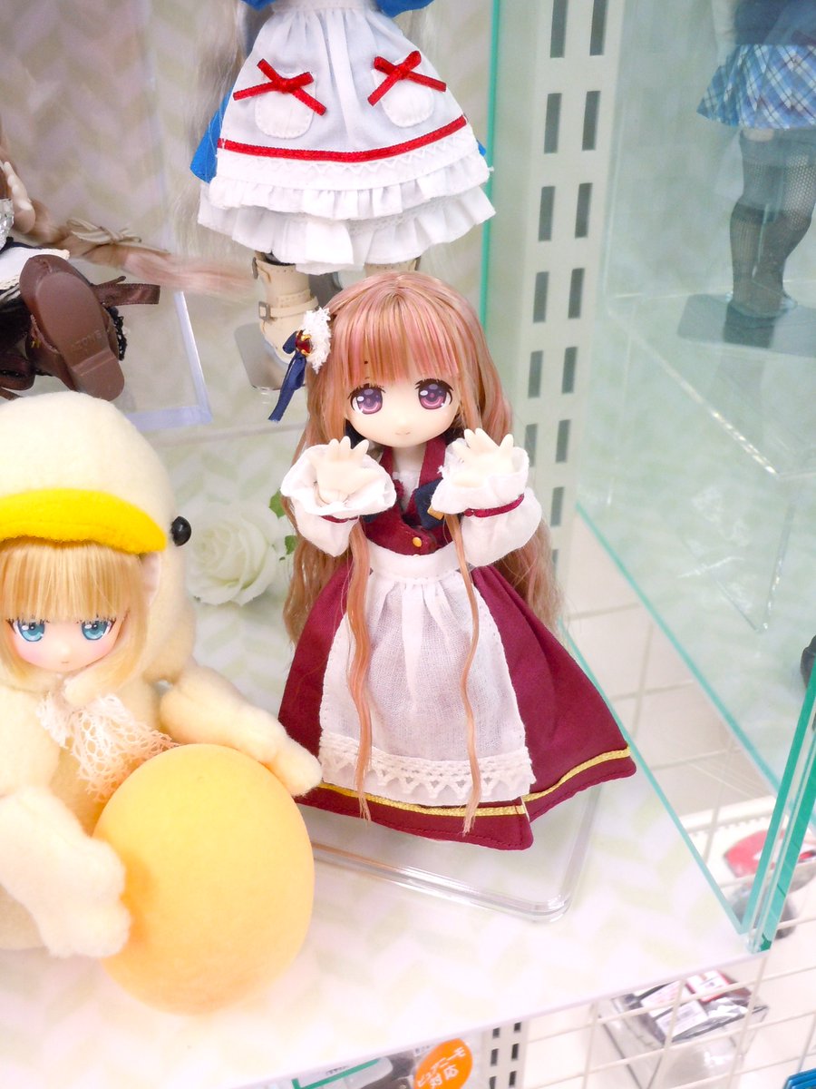 レーベルショップ名古屋OPEN☆】 ～本日のおすすめ～ 『1／12 ピコD