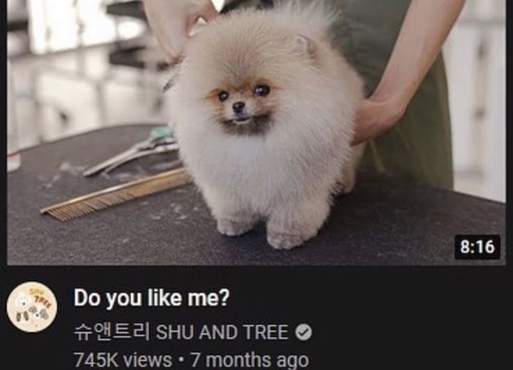 。‧˚ʚ 𝑩 utch 𝑳 icker ɞ˚‧。 tweet media