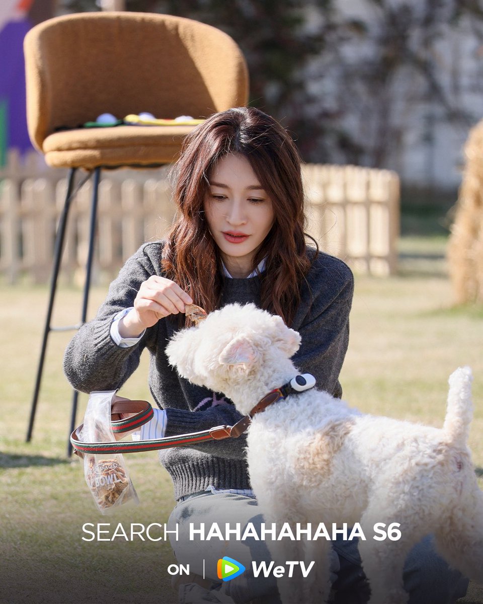 WeTVOfficial's tweet photo. Join them and their dog on this journey. 🦮

😆 #HaHaHaHaHaS6 is streaming now on WeTV.

✨Starring #DengChao #ChenHe #LuHan #FanZhiyi #DongBaoshi #WangMian #LiXiaoran #ChenQiaoen #GaoHanyu #FuHang

#哈哈哈哈哈第6季
#WeTV #WeTVAlwaysMore https://t.co/kgO3mqvjxw
