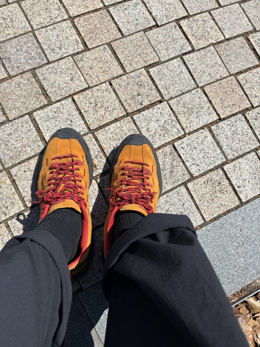 mantropy's tweet photo. 本日14時からシェアハウス見学です！ 参加を希望される方はクスノキ前に集合お願いします🙏 クスノキの目の前に座っている人のこの靴が目印です！ 途中参加もできますので、お気軽にDMしてください！
 #春から京大 https://t.co/xjJZNrU96c