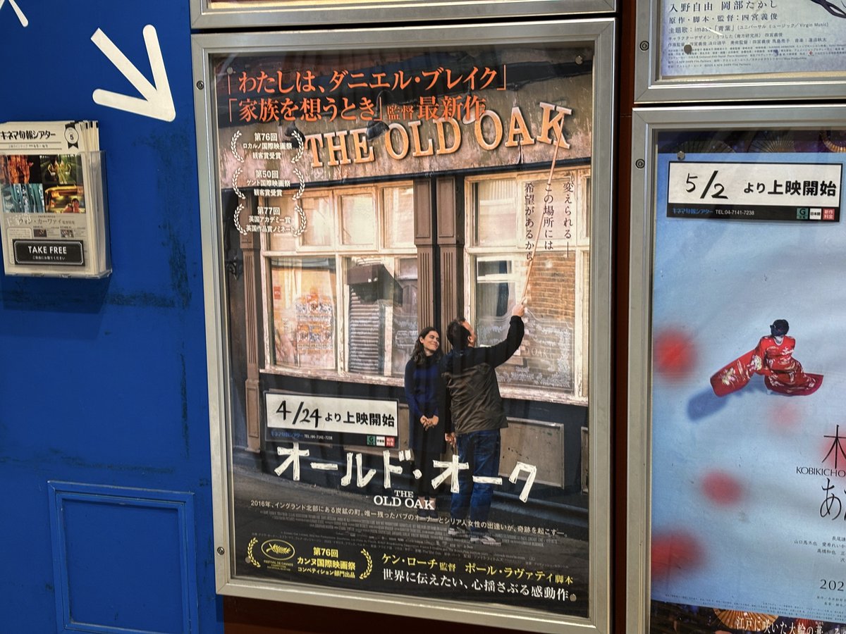 シン・苔（shingoke） tweet media