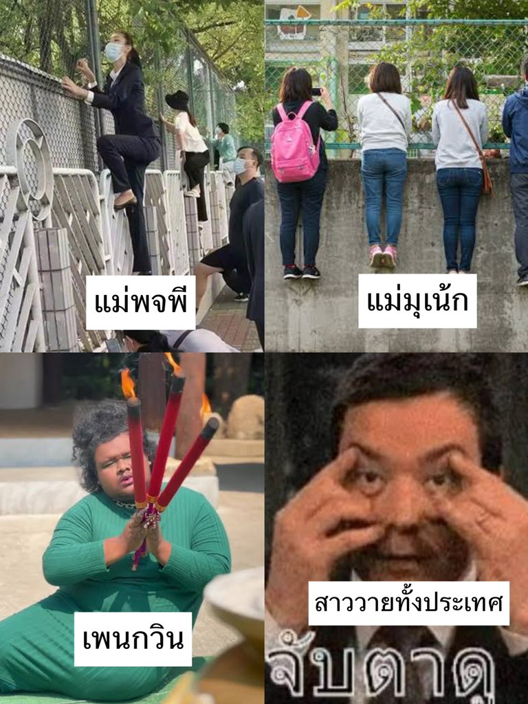 MeiSe🌻📝(ลูกป๊าเสี่ยแม่มาดาม) tweet media
