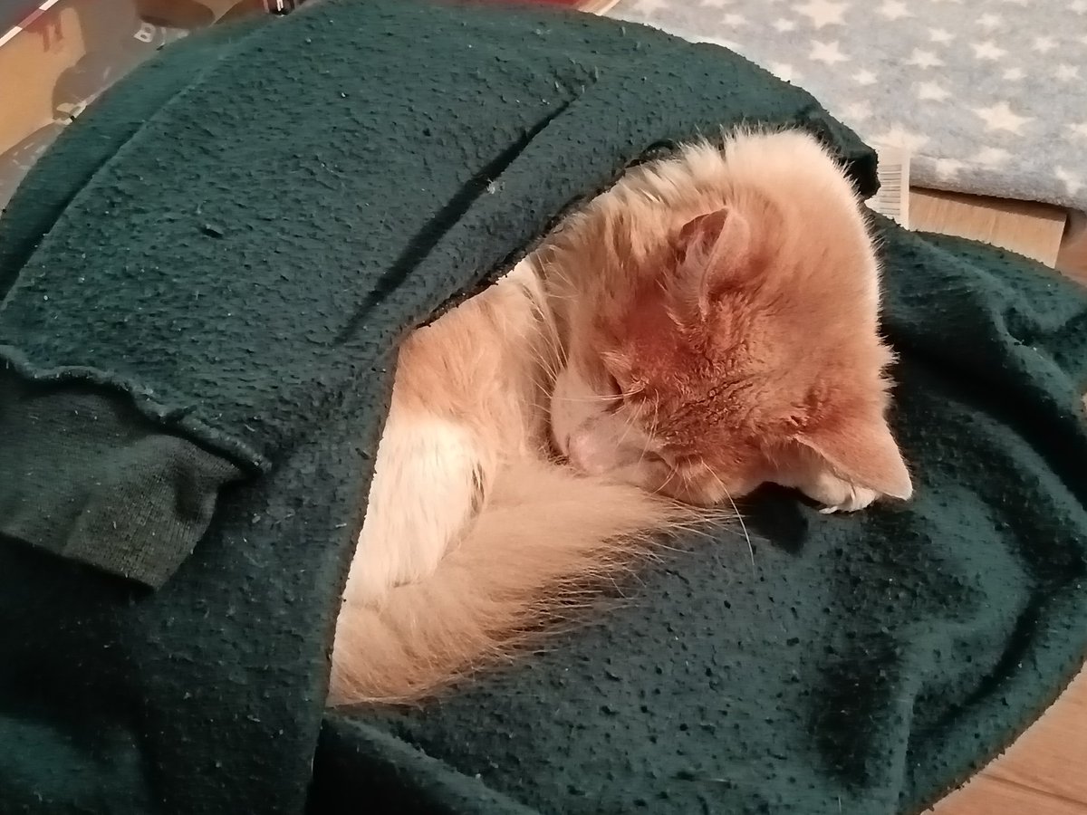 ¿yo?, yo le paso mi poleron favorito a mi gato para que no tenga frío y eso me define como persona