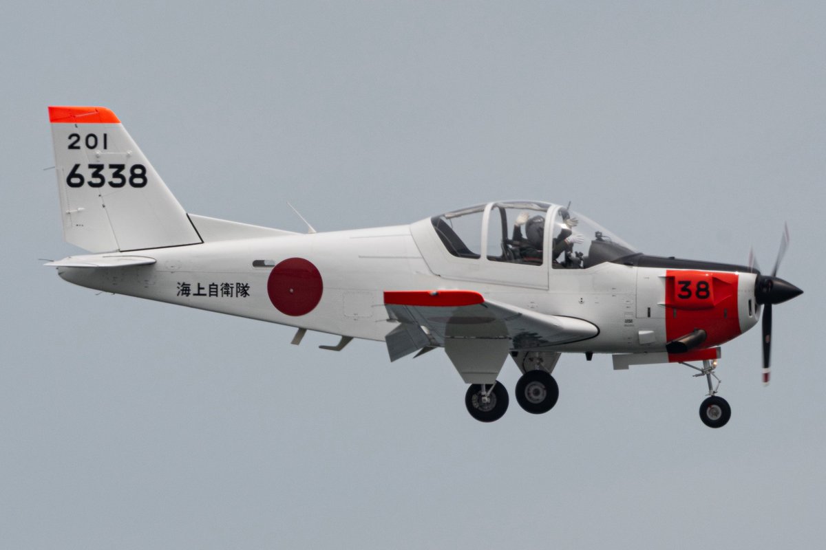 787kb's tweet photo. ホワイトアローズ
本番は見れず残念でした
またどこかで https://t.co/dwYvyKgn5B