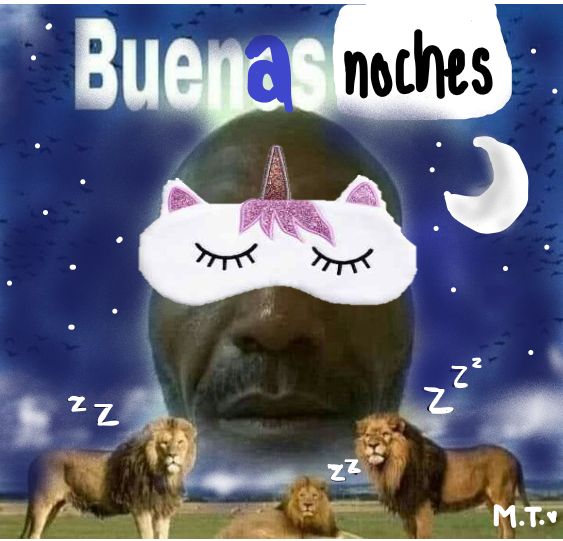 bojack horseman of edtwt (-0 / -10kgs) tweet media