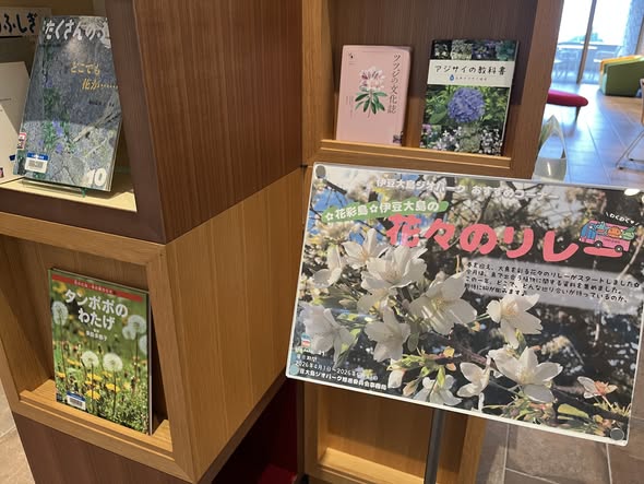 伊豆大島ジオパーク tweet media