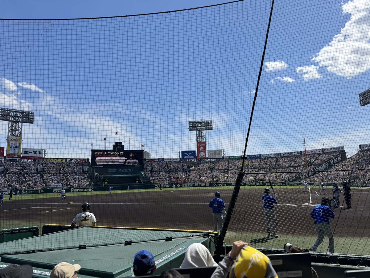 おさるの〇〇〇〇 tweet media