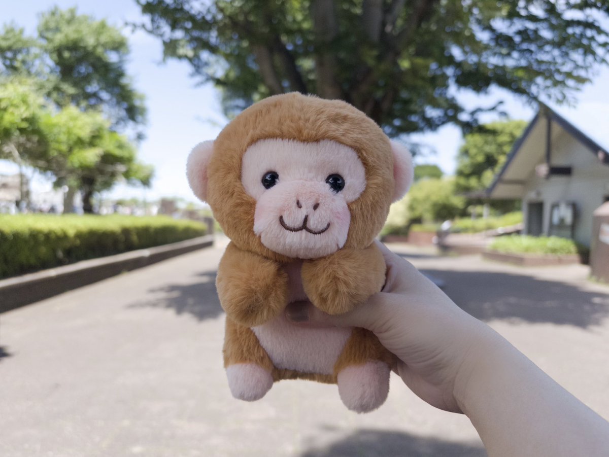 _oaimi's tweet photo. わたしの元にきてくれた  かわいい ♩ https://t.co/w9rUA7VYqa