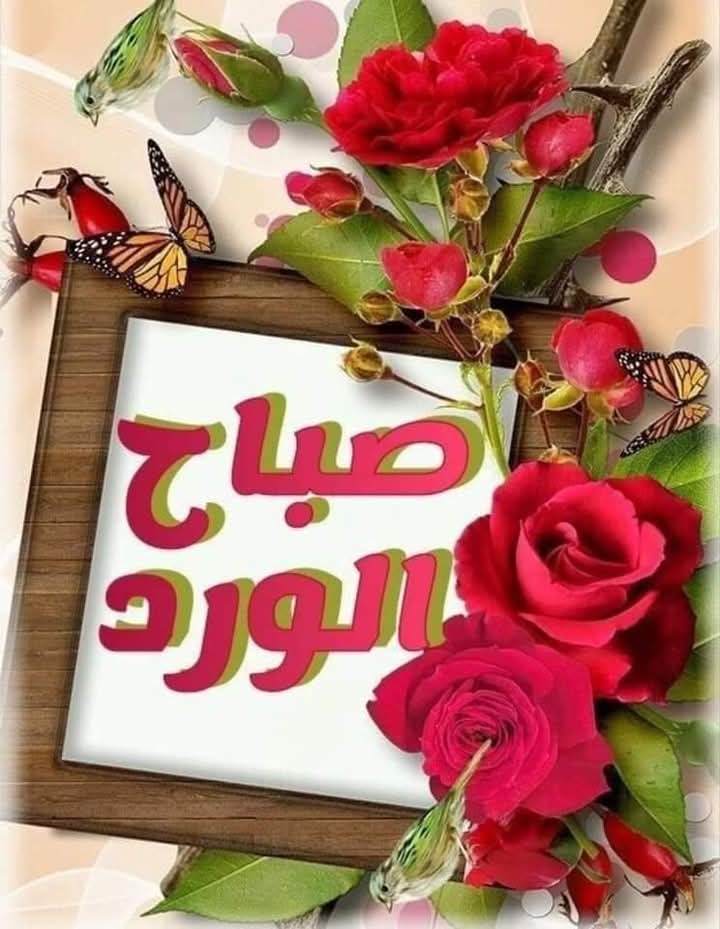 صباح الجمال.. ☕ كُن أنت الفرحة لمن حولك، فابتسامة صادقة منك كفيلة بأن تُشرق في قلب أحدهم شمساً لا تغيب.. 🌻🧡🌞