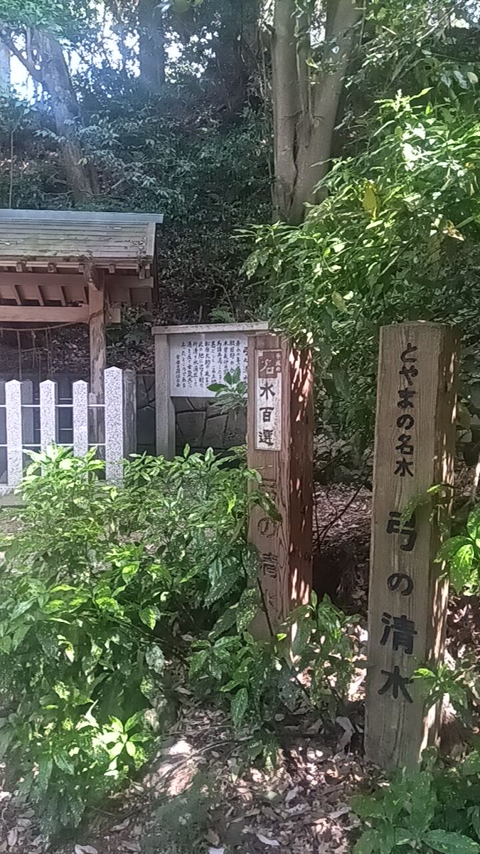 酒 tweet media