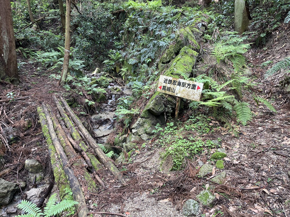 masaki_exp's tweet photo. 大和葛城山　5/9

ツツジ園かなりいい感じになってきてます🌺 https://t.co/nqFmXyDlUN
