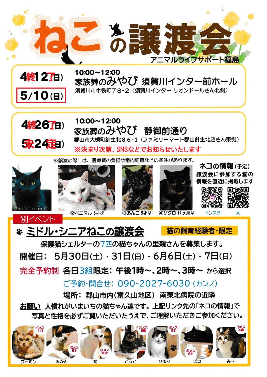 fukushima_2012's tweet photo. 2026年5月10日(日)10：00～12：00、須賀川市牛袋町「家族葬のみやび須賀川インター前ホール」にて、ねこの譲渡会を開催します。成猫子猫合わせて12匹が参加予定です。こちらの会場では最後の開催となります。皆さまのご来場をお待ちしています。#猫 #保護猫 #譲渡会 #保護猫を家族に #福島 #須賀川 https://t.co/kWotC2lZuf