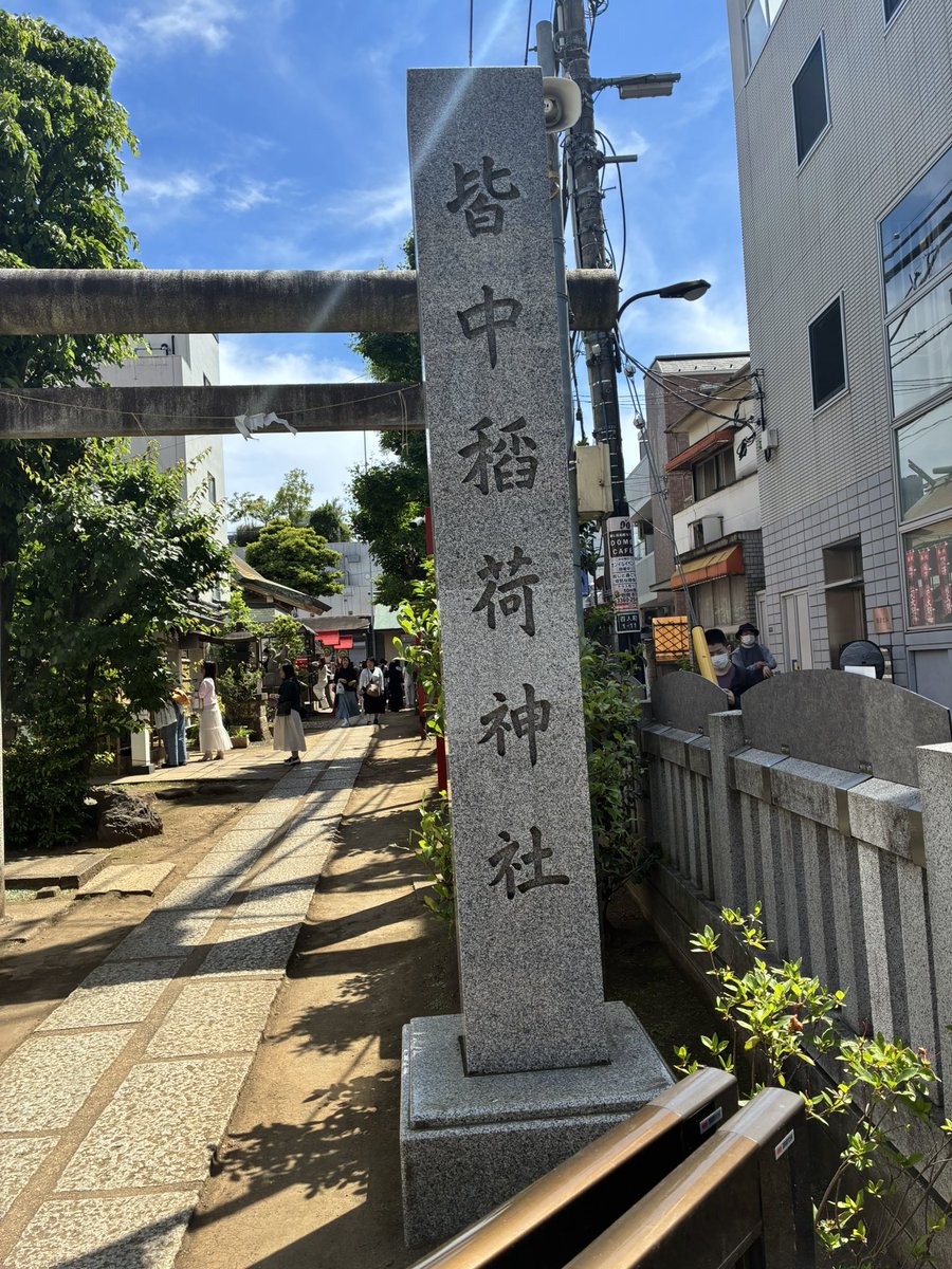 まきこ(ひろか) tweet media