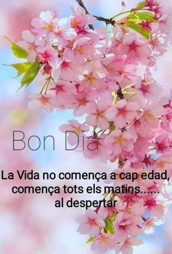Jaum3li2's tweet photo. Avui ja es dissapte, 14°, els carrers ja estan posats, 💪💪.

Bon dia i molt bon cap de setmana a tothom qui s’estima Catalunya 👍👍.

Feu bondat o no 🤔🤔

Apa, a gaudir del dia 🙋‍♂️🙋‍♂️ https://t.co/nZIbCxB0xi