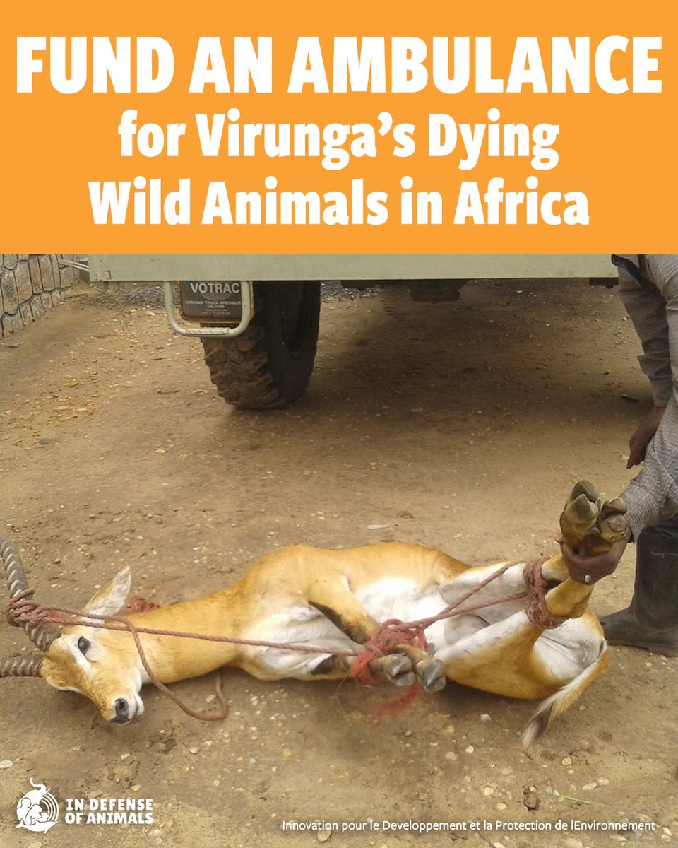 In Defense Of Animals tweet media