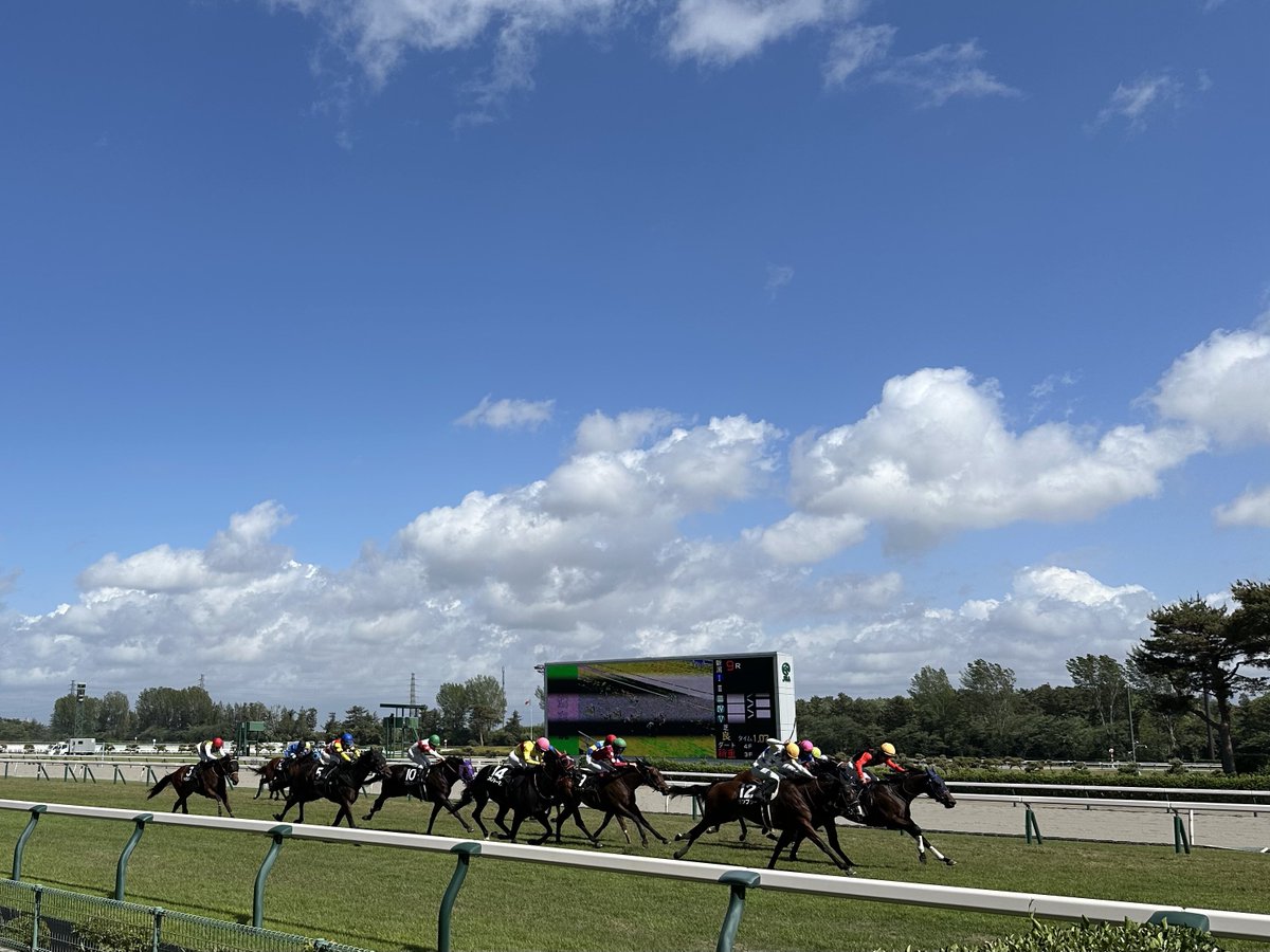 ksorigin's tweet photo. 新潟競馬場🏇 https://t.co/mJ8HFfDXFR