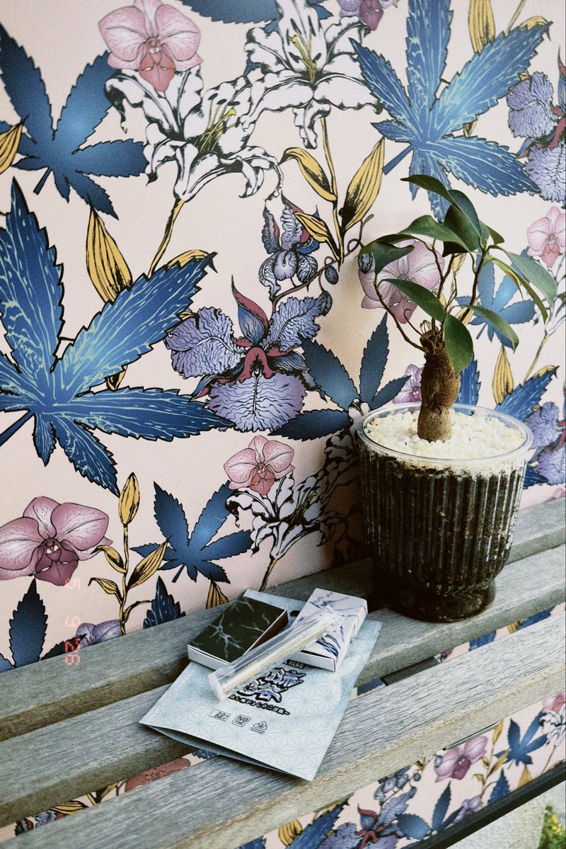 CBN🌿CRDP🌿5月25日販売終了‼️ 今しか味わえない体感