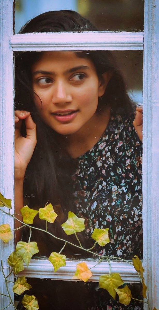aniyathi's tweet photo. Happy birthday dearest angel @Sai_Pallavi92 . May you always retain the infinite grace and truckloads of innocent smiles throughout your life. Stay blessed always.. ❤️❤️❤️❤️❤️😍😍😍😍😍😍😍🥰🥰🥰🥰🥰🥰#HBDSaipallavi https://t.co/8AWIh2106G