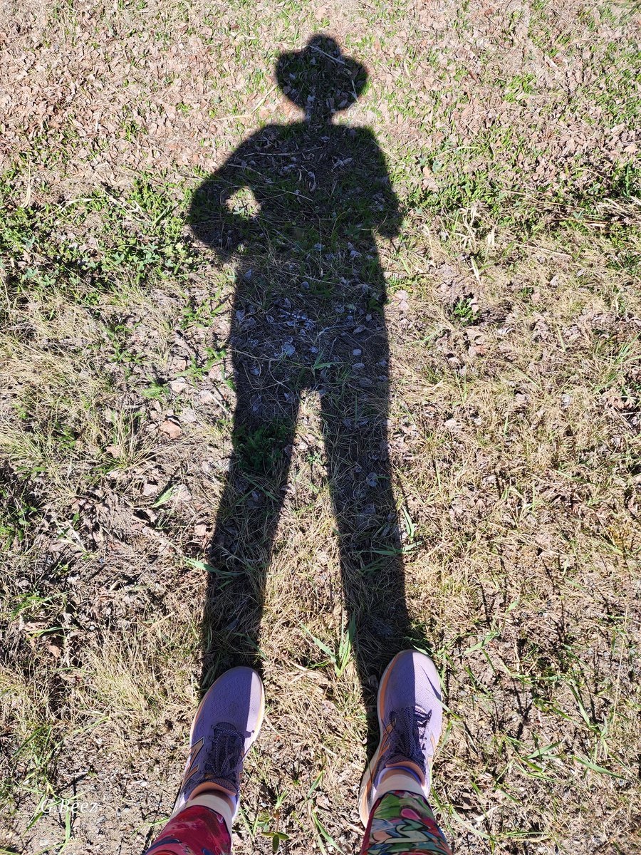 beesley_gillian's tweet photo. Have a super #shadowsaturday twitterpals, take care and stay kind 😇 my shadow looks like Woody from that kids movie😅, the name of which I forget, is it Toy Story? https://t.co/wLhdzghJDw
