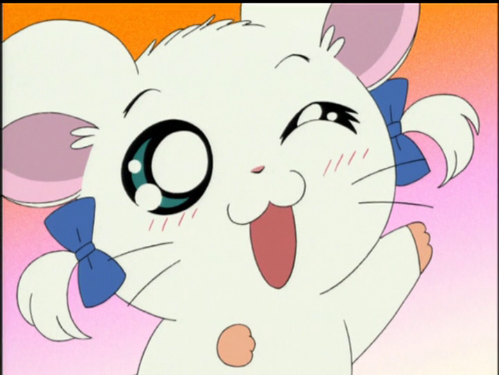 Hamtaro・ハム太郎 (@Nise_Hamtaro) / Posts / X