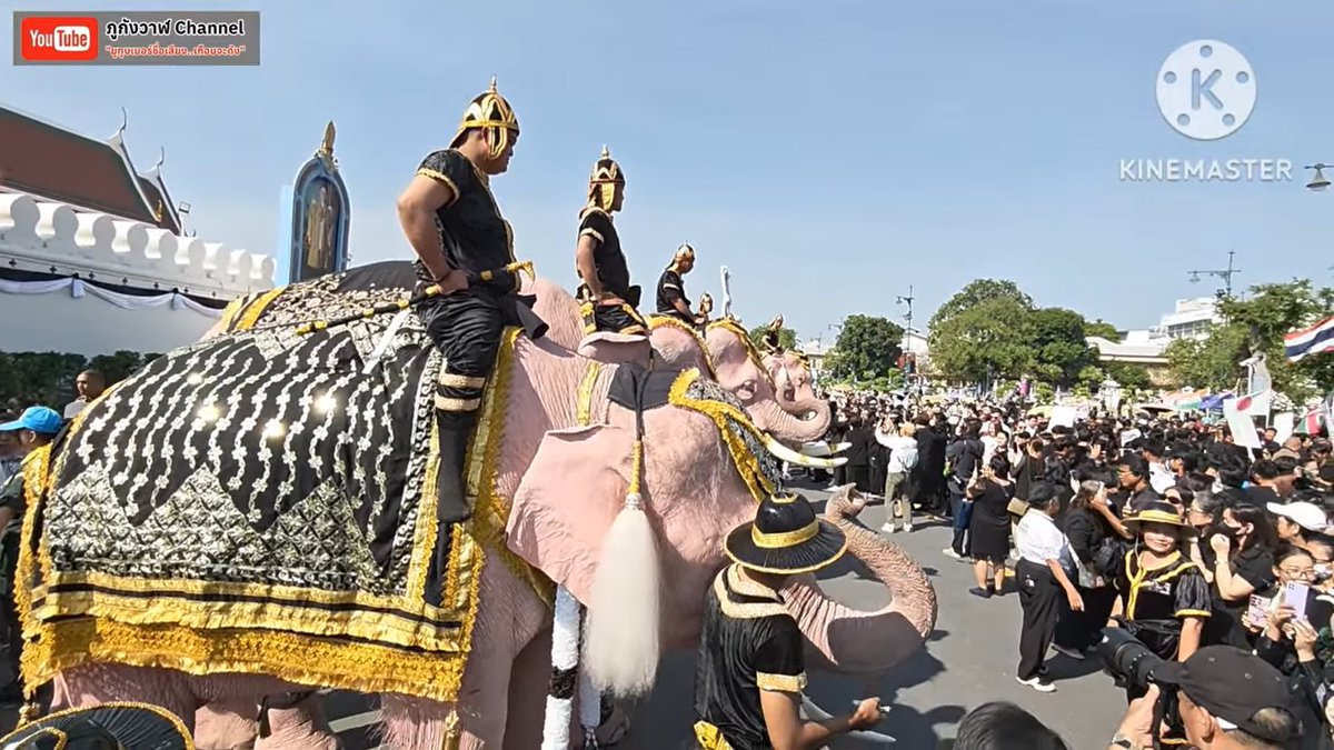 Bangkok city ชอบมากๆช้างเผือกไทย มีพลังและงดงามมากๆ