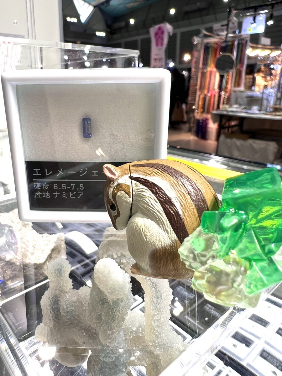 Curious キュリアス tweet media