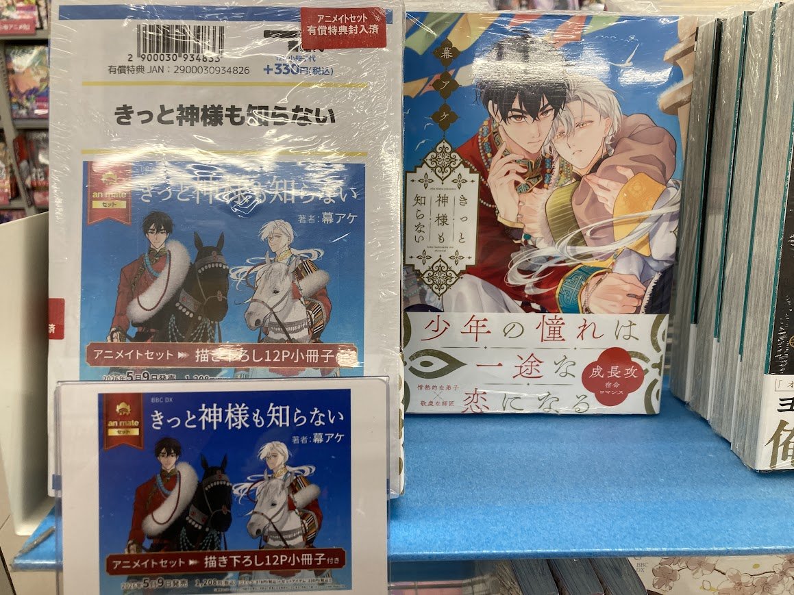 書籍新刊入荷情報】 『きっと神様も知らない』 本日入荷しましたシズ
