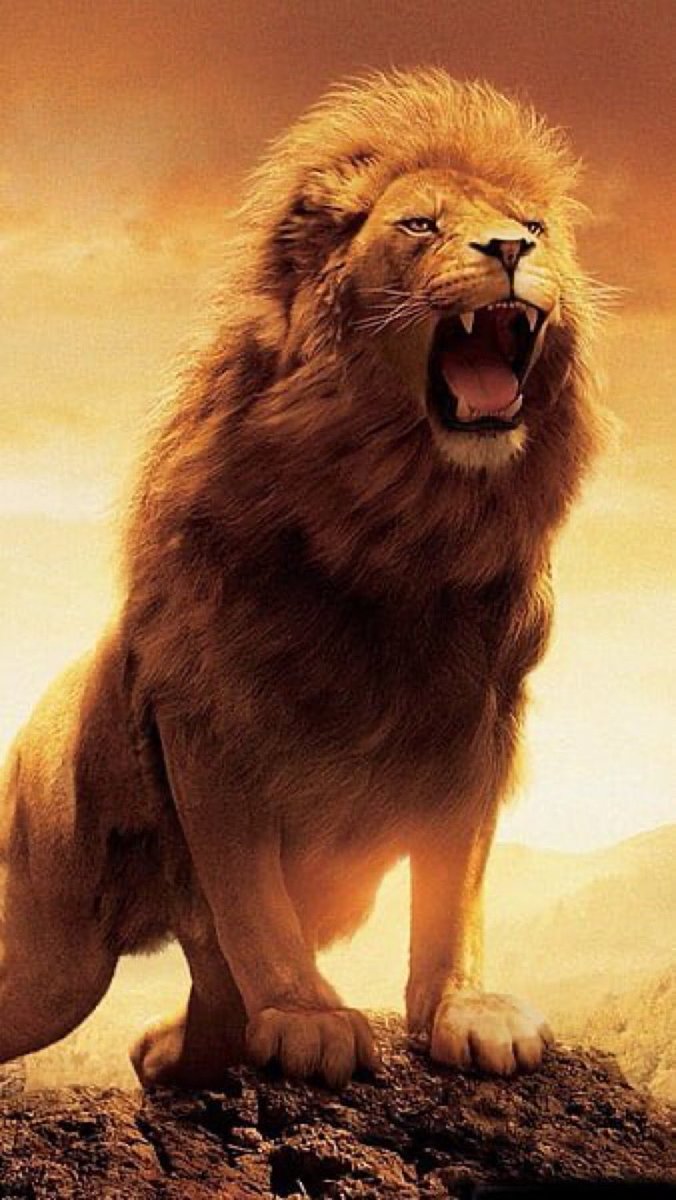 KalelLev's tweet photo. Shabbat Shalawam, and Quam Yasharallah to The 12 Tribes scattered around the four corners of the Earth!
Blessings to all the Saints who honor, and keep Sabbath Day Holy as TMH commanded us in KJVA Exodus 20:8-11!
APTTMH!🕎👑🦁 https://t.co/zpvp6gGI86