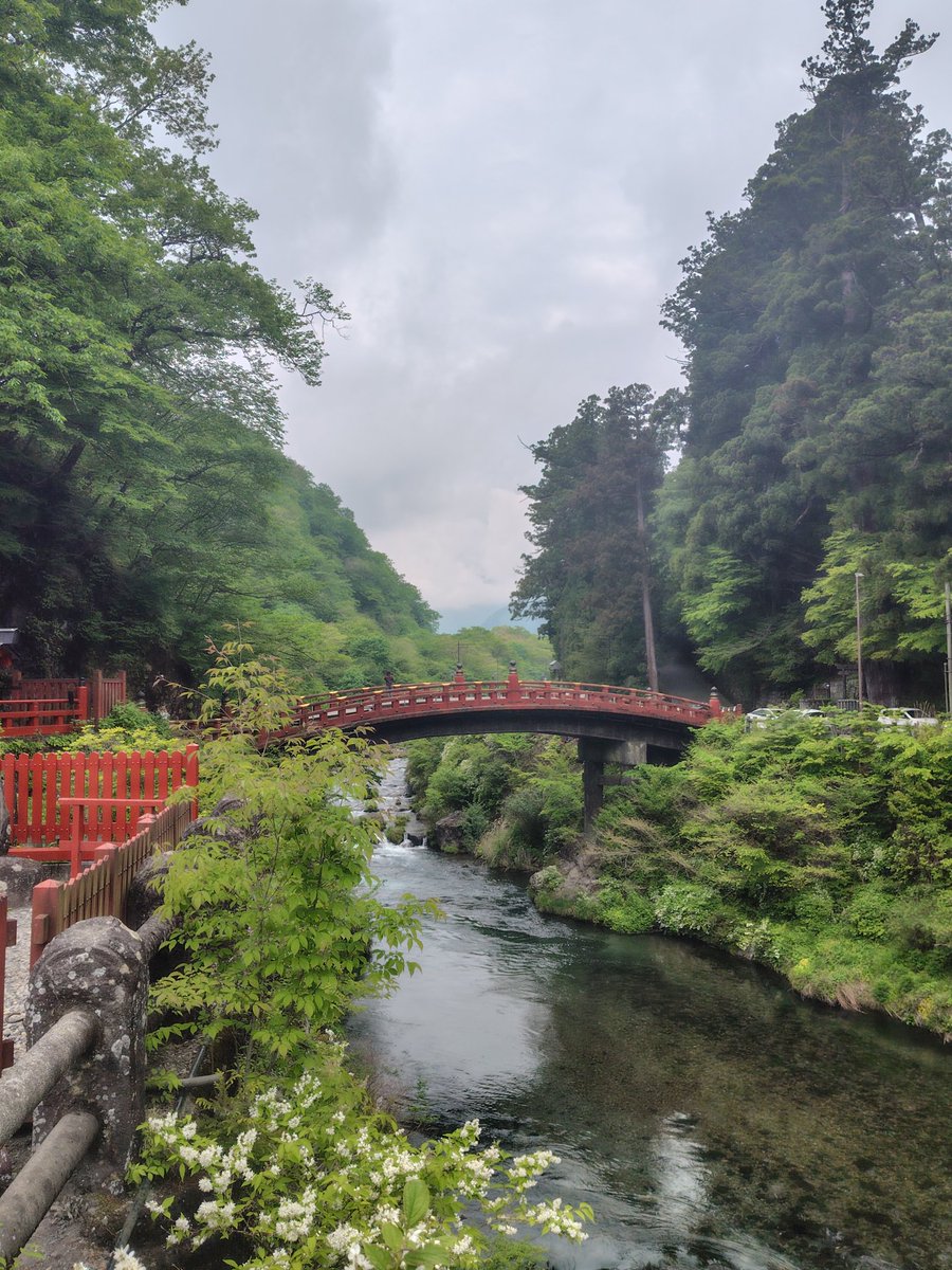 Kmoketn's tweet photo. GWぶち抜いて日光東照宮行ってきた〜！
普通に大阪からは遠すぎます、、、
栃木に旅行行くなら初日は宇都宮、翌日に日光とかのプランにすべきではあったな https://t.co/aSW8smm0Gi