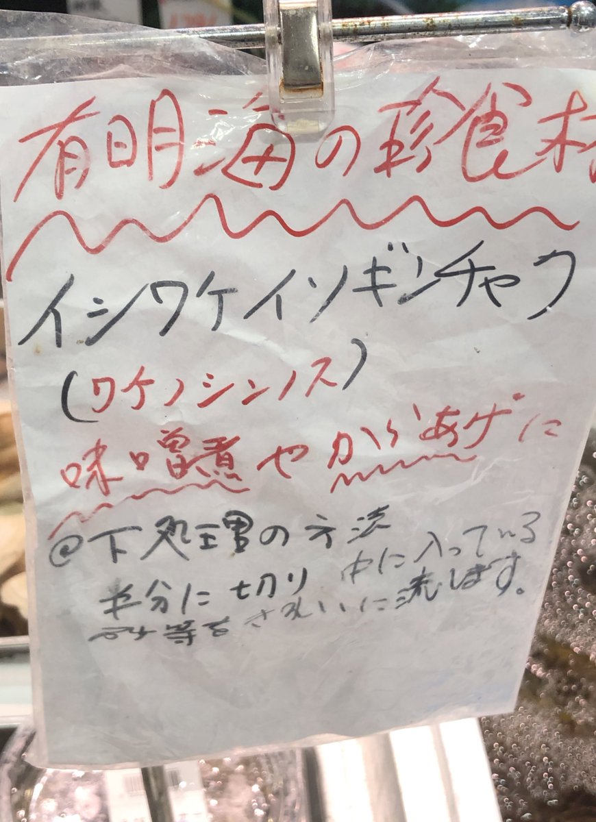 yoshiike_group's tweet photo. 食用🌟
イシワケイソギンチャク🪼🪼 https://t.co/zoxoez1DjQ