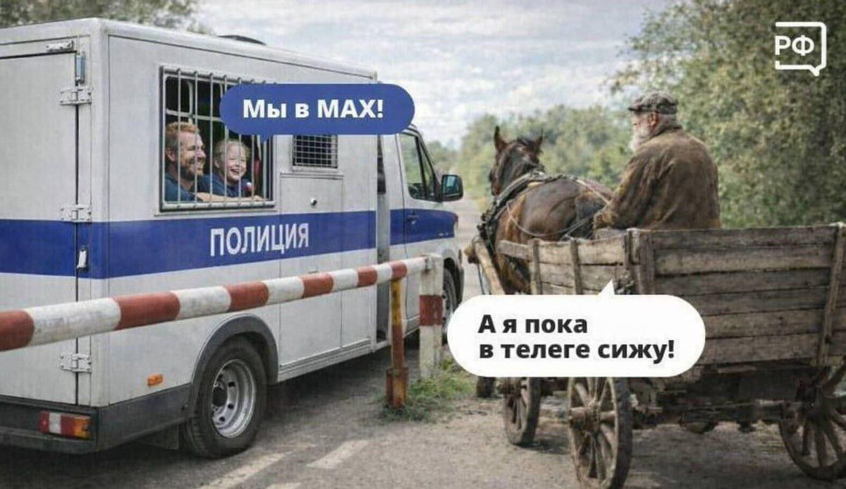Илья tweet media