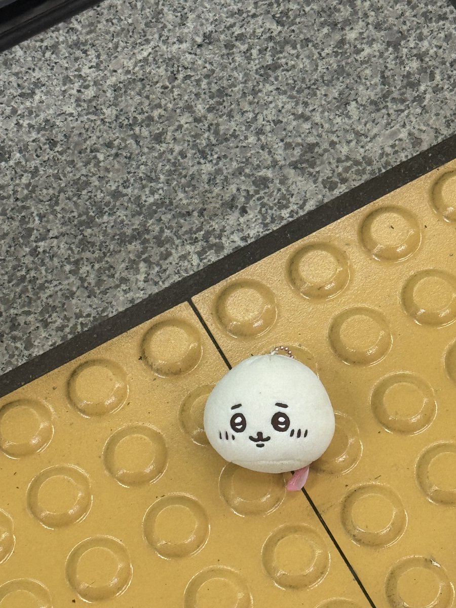 햄냐 tweet media