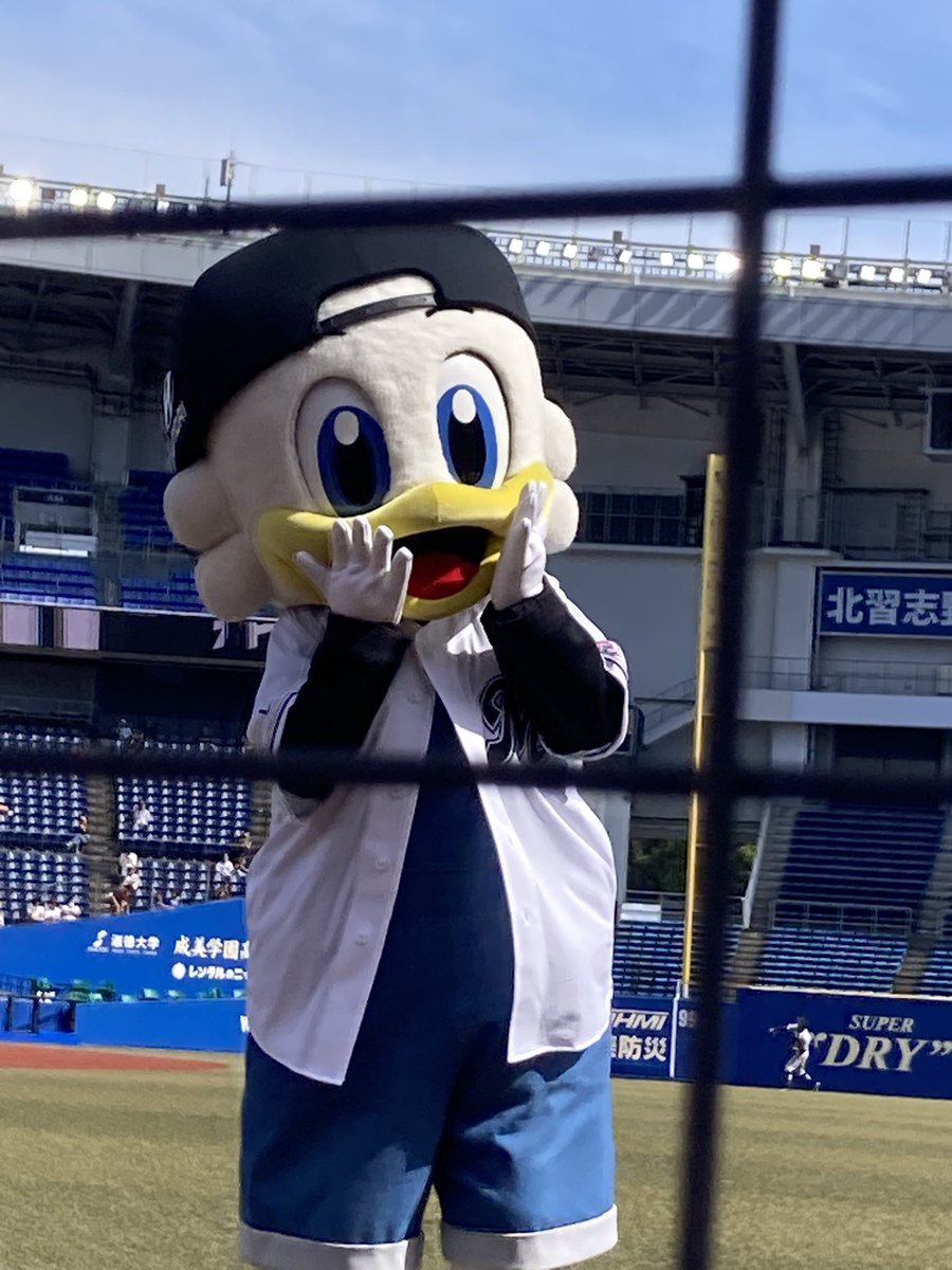 ずーちゃん オドロッテのズーちゃん #chibalotte #zu_chan