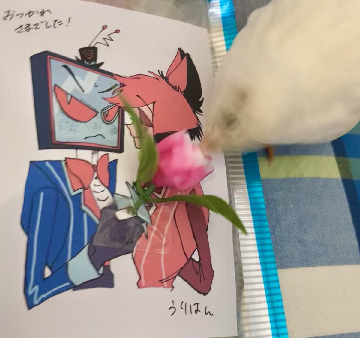 29☆プロフお読みください❁¨̮様　2点おまとめ うりはんさんはこういうのが大丈夫な方ではないかと信じてお写真を