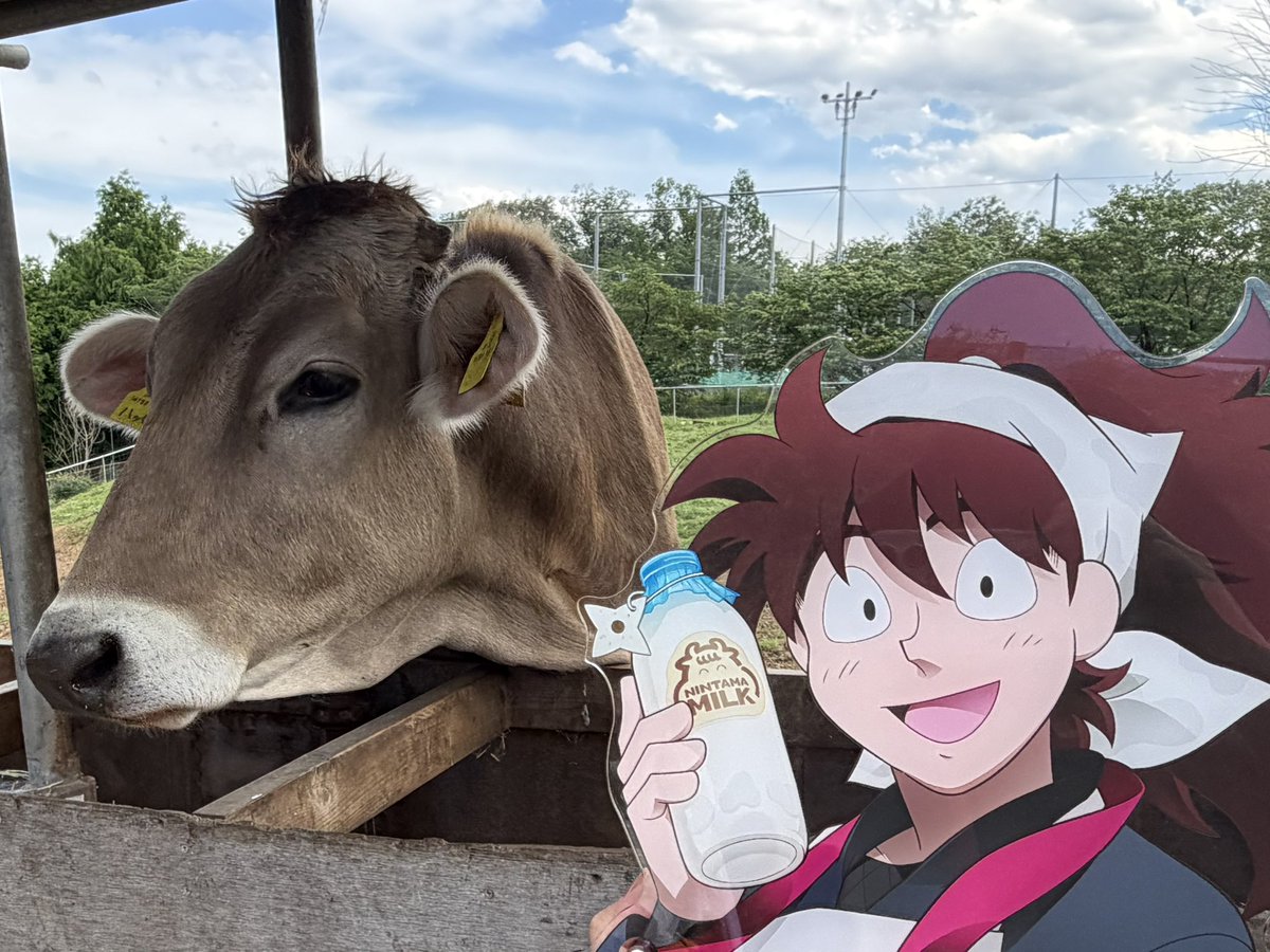 花守ぐら(ハナモグラ) tweet media