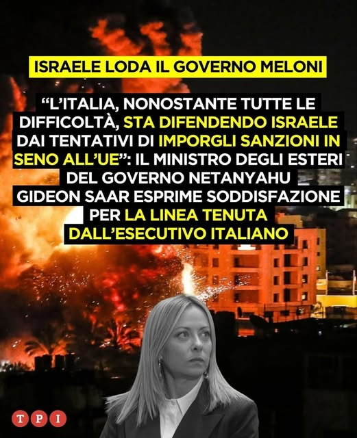 sarena tweet media