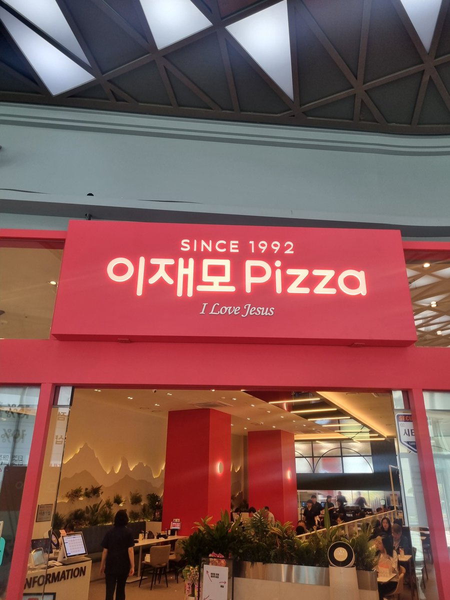 치즈냐옹 tweet media