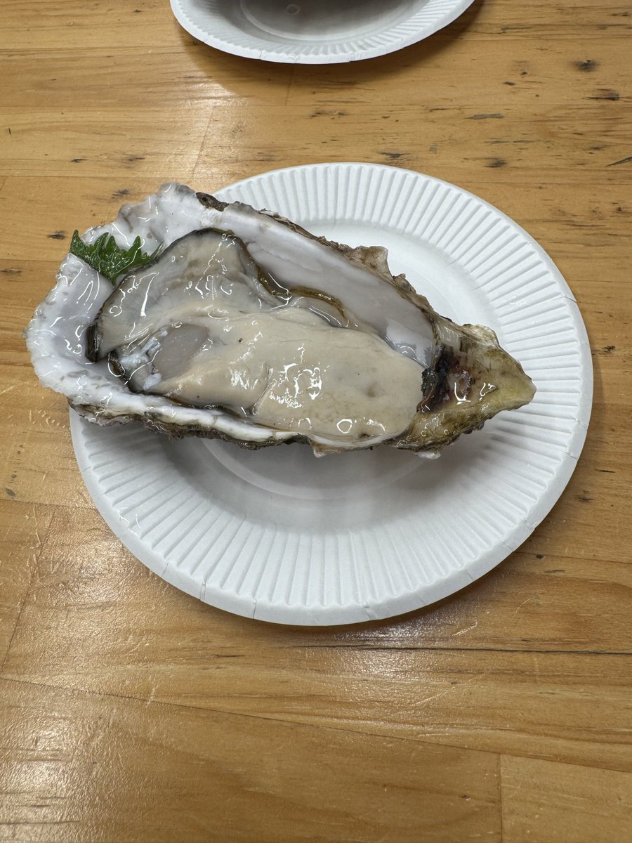 なつめ(雪の昼行燈) tweet media