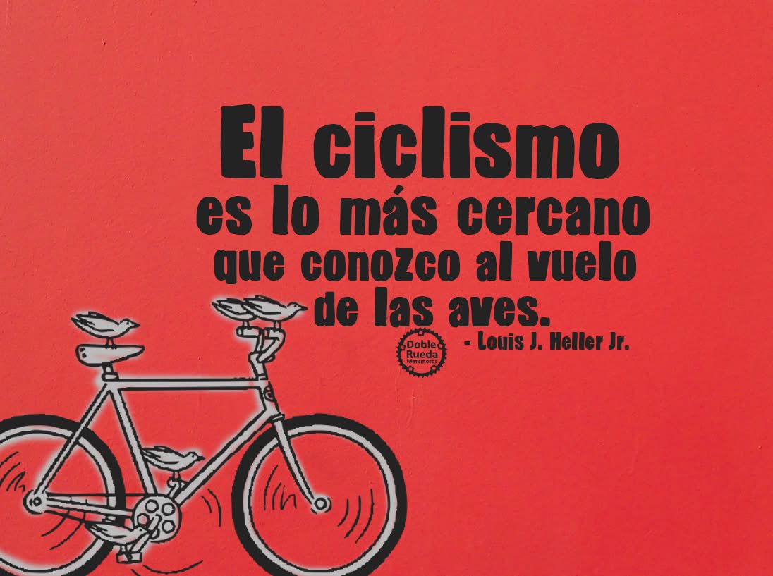 Ardillí. 🐿🚲 tweet media