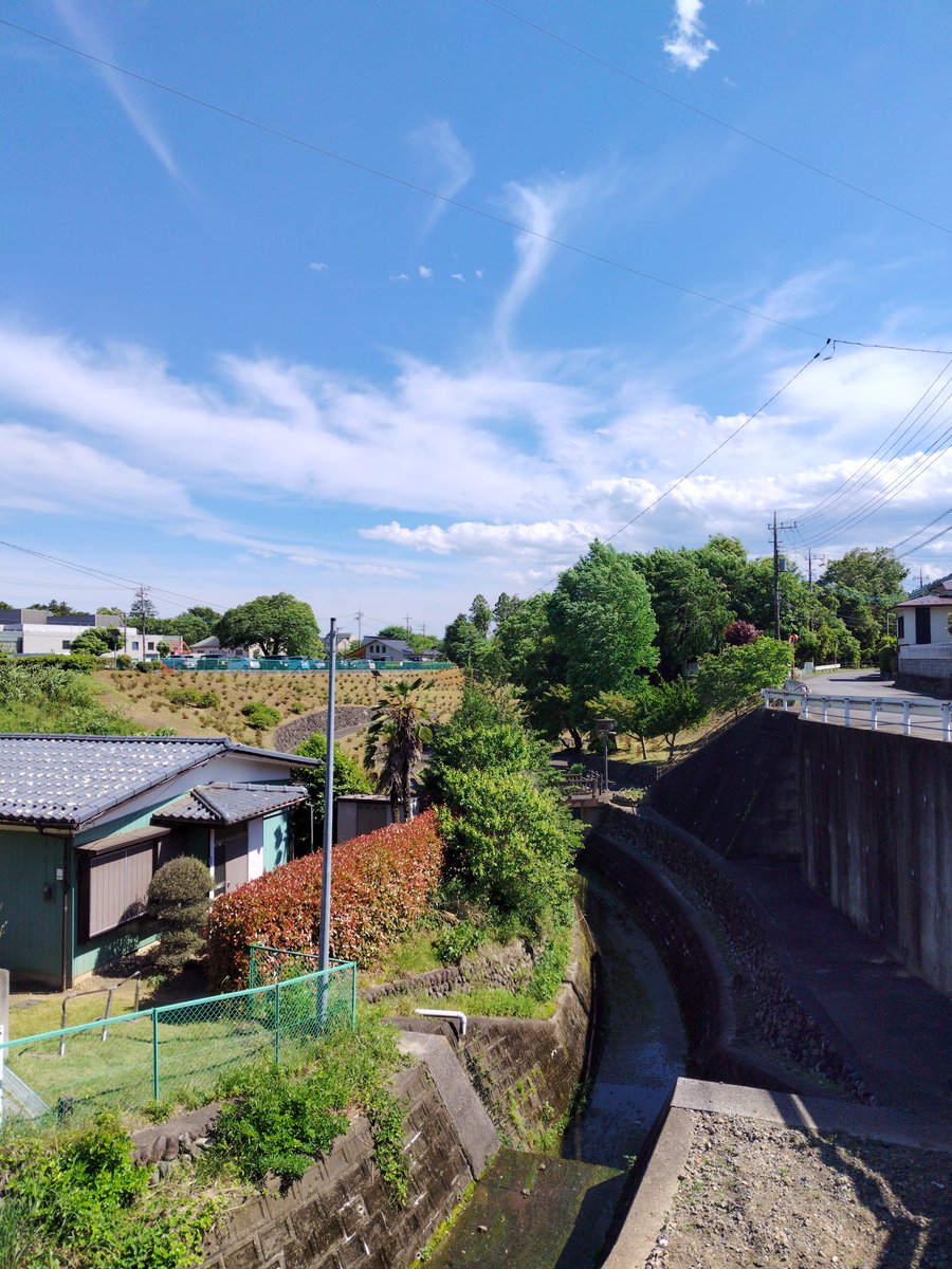 絵画のようではないですかと。
