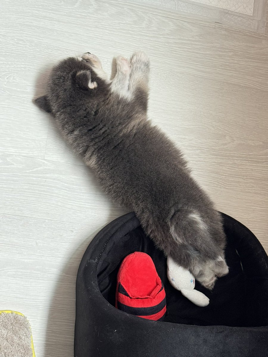 oneone0nine's tweet photo. ลูกเราเหมือนเรา คำนี้ไม่เกินจริง https://t.co/ukQiWywmeo