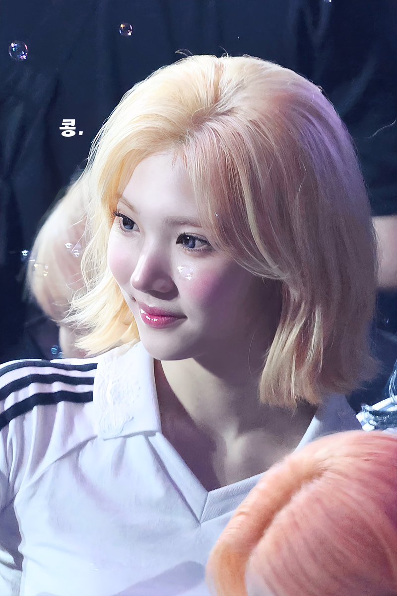 콩 tweet media