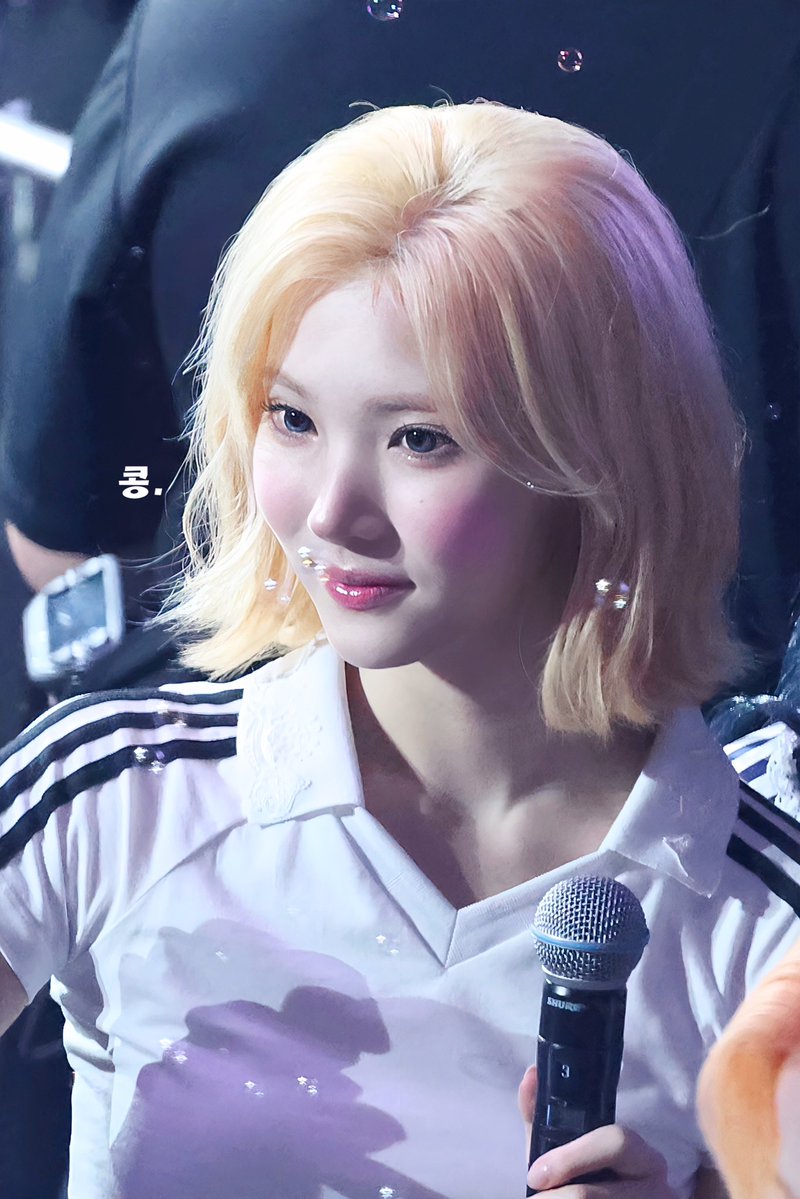 콩 tweet media