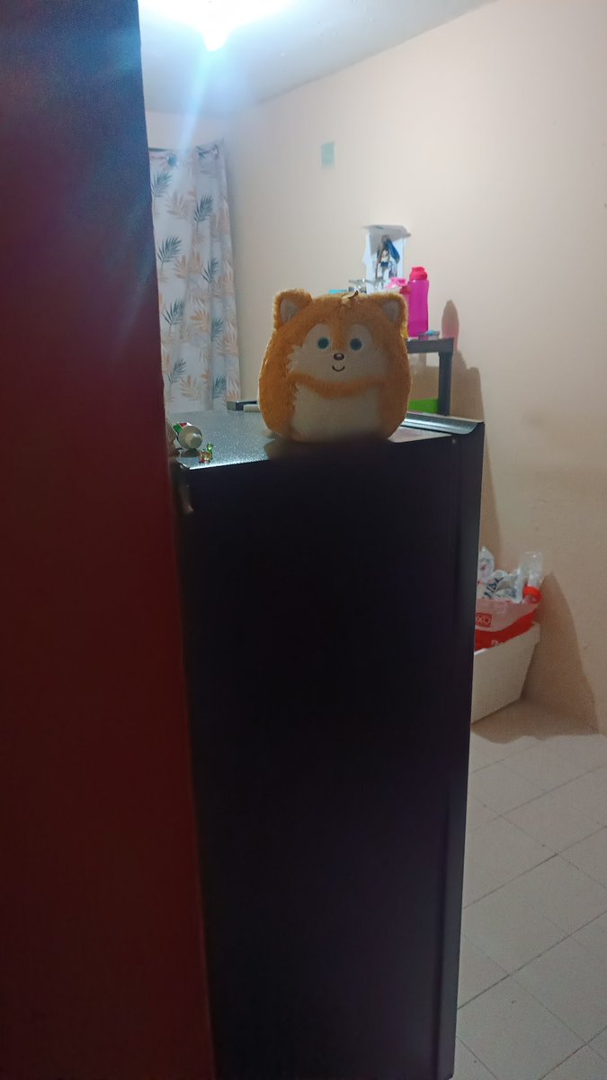 Th3_Ch4t0's tweet photo. Dice mi sobrino que no puede dormir por su peluche de Tails. https://t.co/eX49JZZSPf