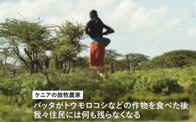 ばとめんばー１.jp tweet media